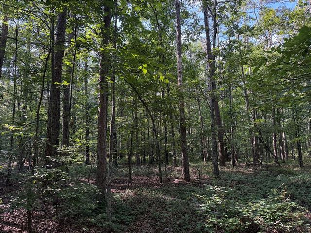 0 Clear Lake Drive, Adairsville, GA 30103
