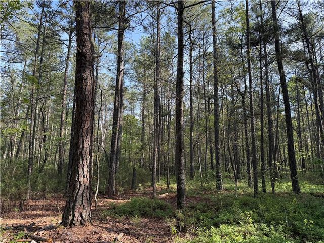 0 Clear Lake Drive, Adairsville, GA 30103