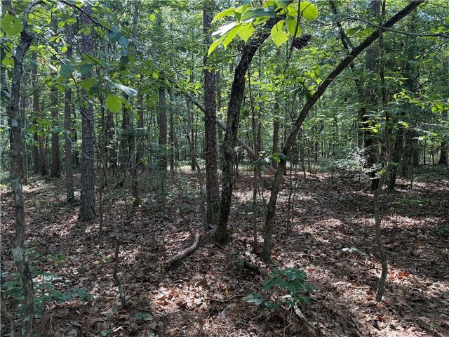 0 Clear Lake Drive, Adairsville, GA 30103