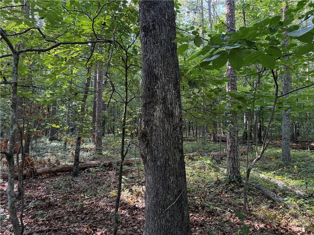 0 Clear Lake Drive, Adairsville, GA 30103