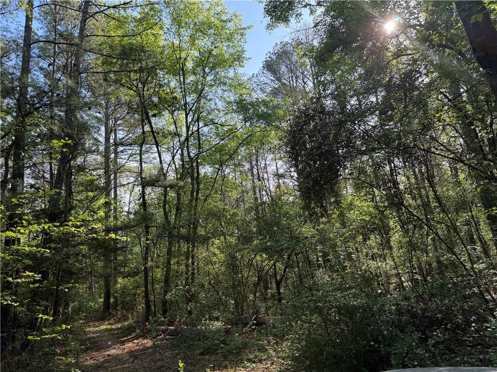 0 Clear Lake Drive, Adairsville, GA 30103