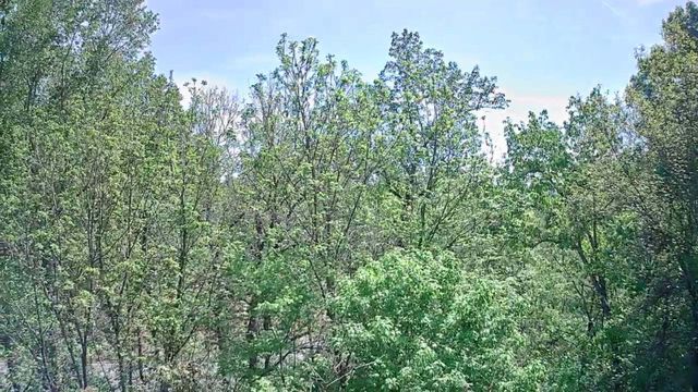 3734 Highway 41 Trail, Ringgold, GA 30736