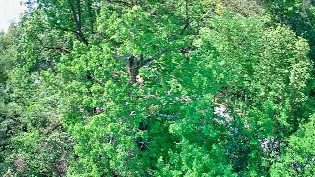 3734 Highway 41 Trail, Ringgold, GA 30736