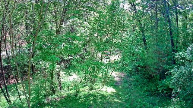 3734 Highway 41 Trail, Ringgold, GA 30736