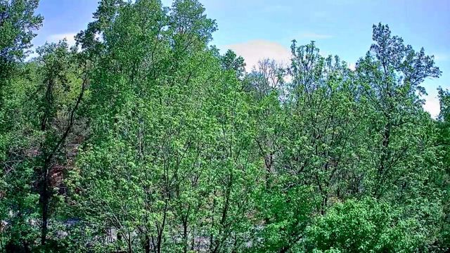 3734 Highway 41 Trail, Ringgold, GA 30736