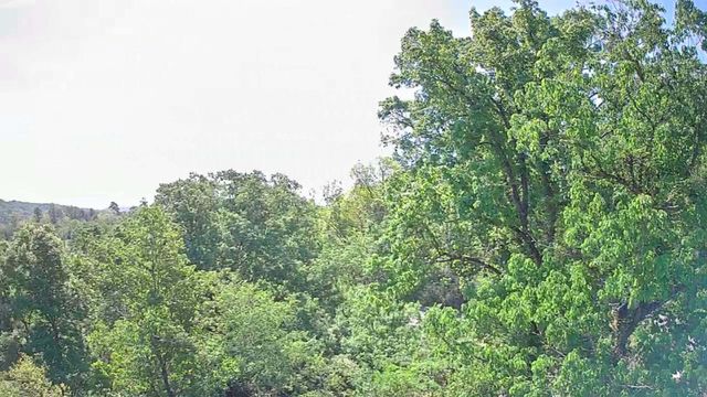 3734 Highway 41 Trail, Ringgold, GA 30736