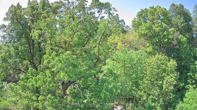 3734 Highway 41 Trail, Ringgold, GA 30736
