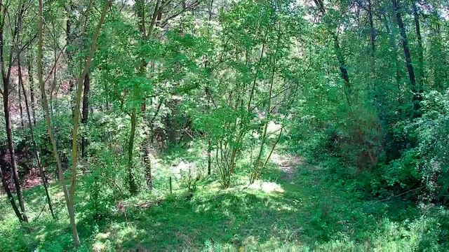 3734 Highway 41 Trail, Ringgold, GA 30736