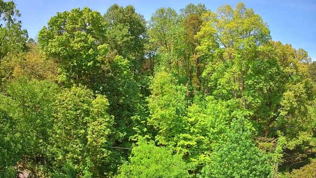 3734 Highway 41 Trail, Ringgold, GA 30736