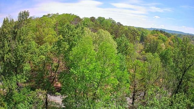3734 Highway 41 Trail, Ringgold, GA 30736