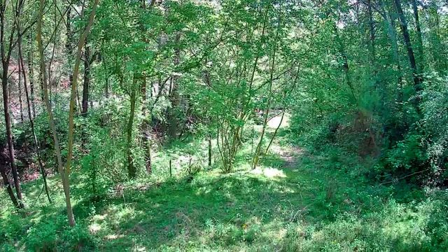 3734 Highway 41 Trail, Ringgold, GA 30736