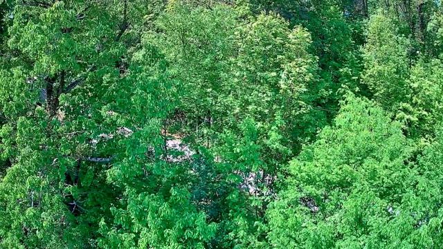 3734 Highway 41 Trail, Ringgold, GA 30736