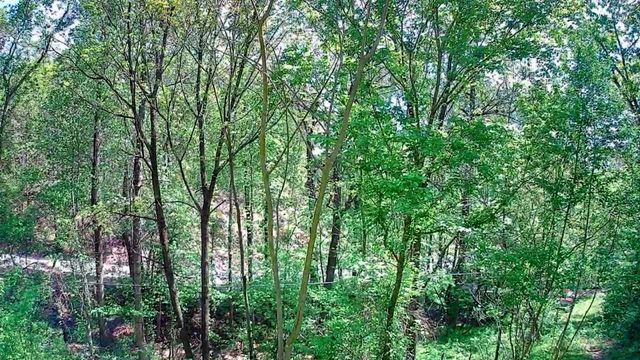 3734 Highway 41 Trail, Ringgold, GA 30736