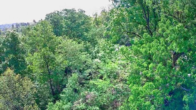 3734 Highway 41 Trail, Ringgold, GA 30736