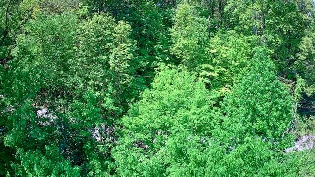 3734 Highway 41 Trail, Ringgold, GA 30736