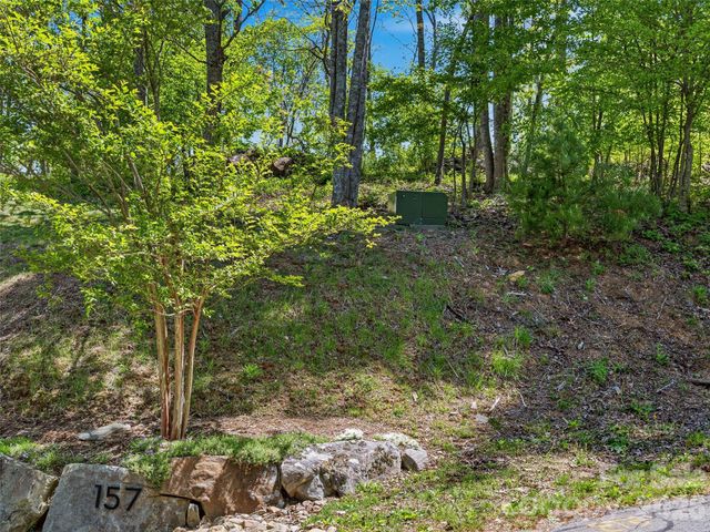 135 Starling Pass, Asheville, NC 28804