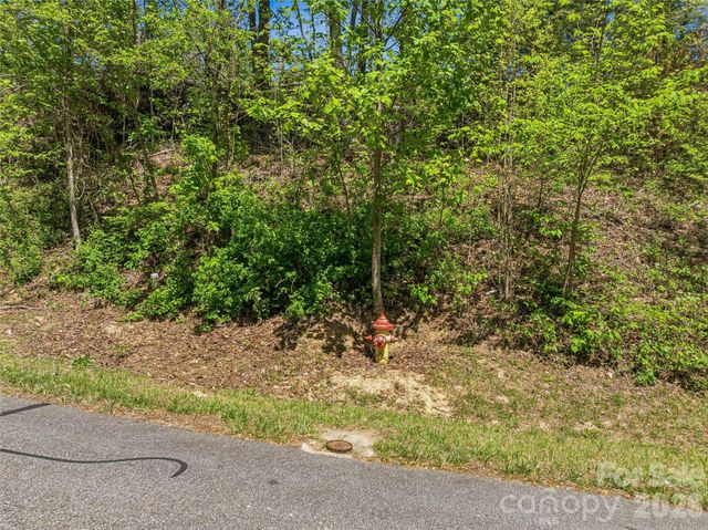 135 Starling Pass, Asheville, NC 28804