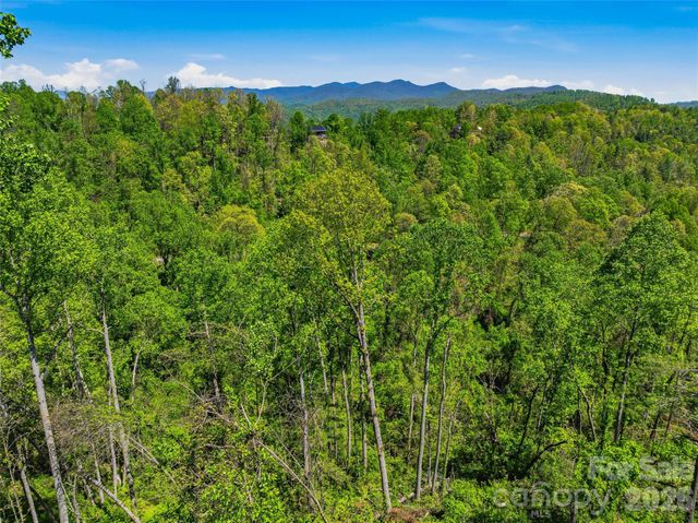 135 Starling Pass, Asheville, NC 28804