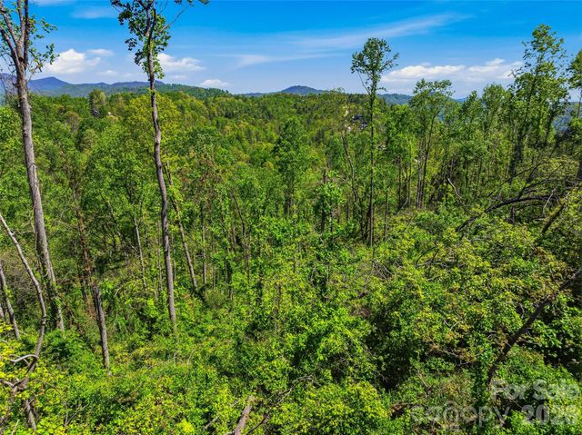 135 Starling Pass, Asheville, NC 28804