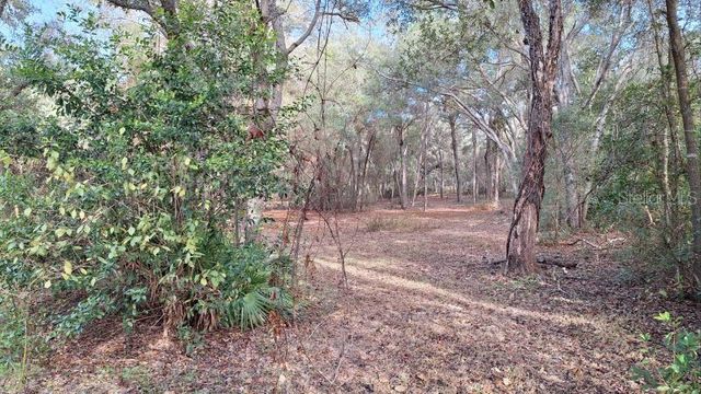 1139 E MCKINLEY STREET, Hernando, FL 34442