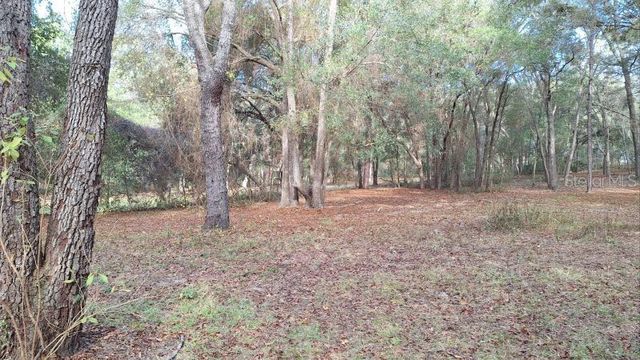 1139 E MCKINLEY STREET, Hernando, FL 34442