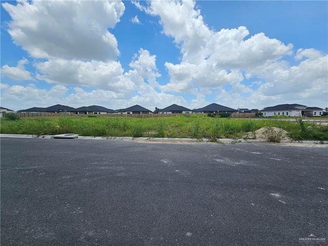 3106 N Adler Avenue, Edinburg, TX 78541