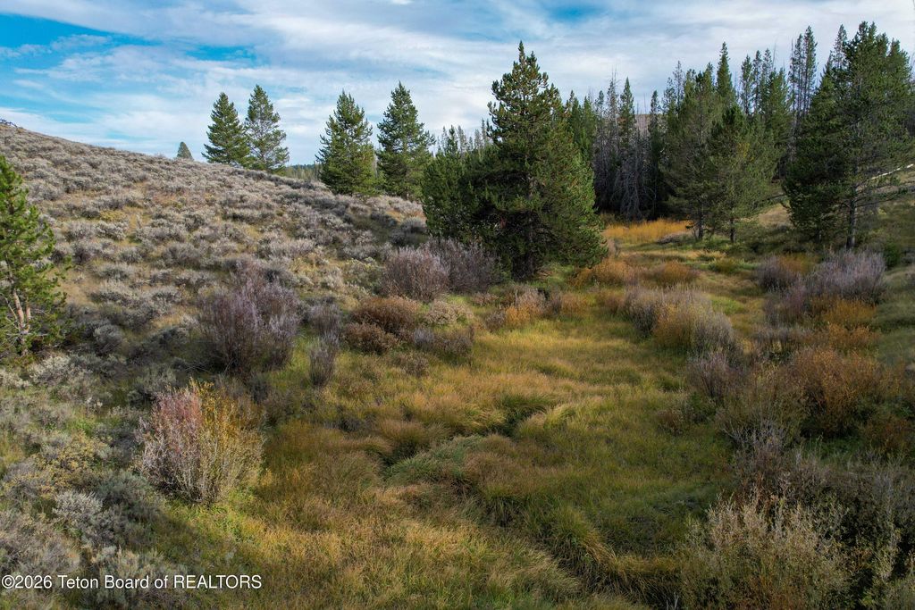 TRACT 5 SHEET 11 HOBACK RANCHES, Bondurant, WY 82922 photo 4