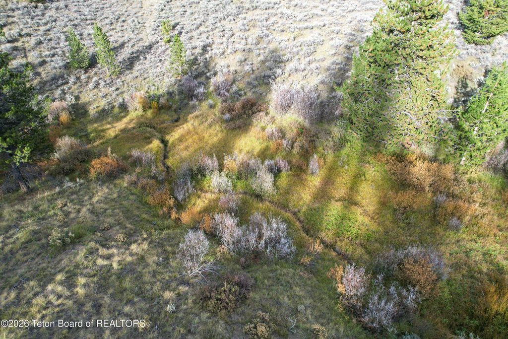 TRACT 5 SHEET 11 HOBACK RANCHES, Bondurant, WY 82922 photo 5