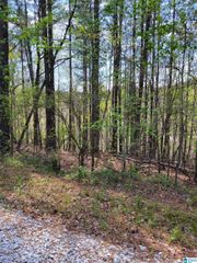 LAKE GENEVA DRIVE, Wedowee, AL 36278