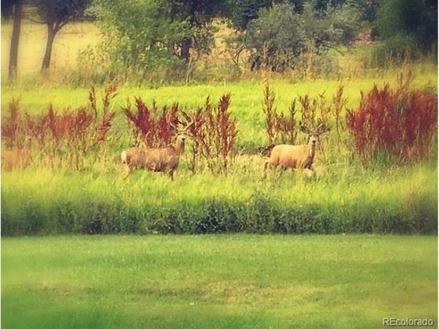 16011 W 56th Pl, Golden, CO 80403