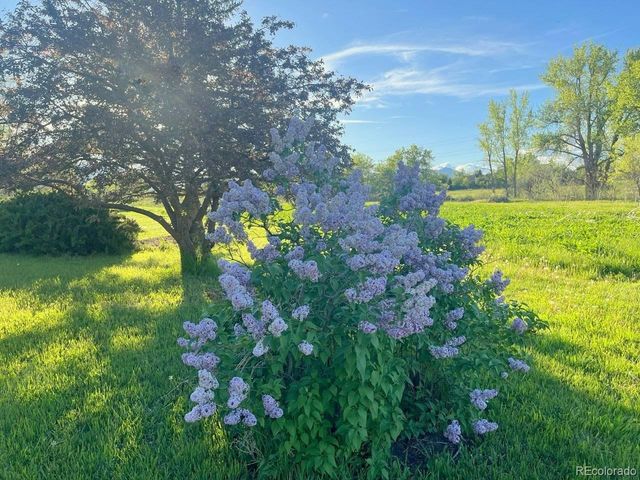 16011 W 56th Pl, Golden, CO 80403