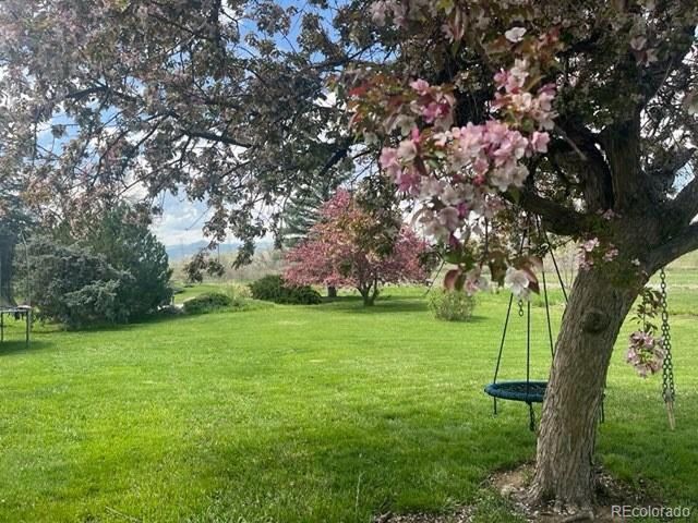 16011 W 56th Pl, Golden, CO 80403