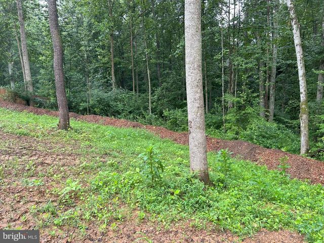 307 LARKSPUR, Ruckersville, VA 22968