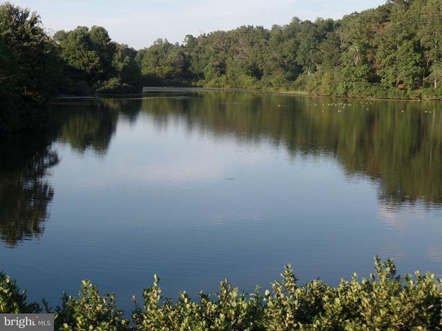 307 LARKSPUR, Ruckersville, VA 22968