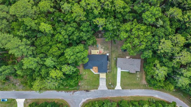9 SEQUOIA LOOP LANE, Ocklawaha, FL 32179
