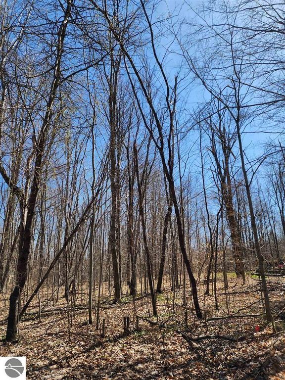 Image 2 of property listing at VL Cliffmont Drive, Mancelona, MI 49659