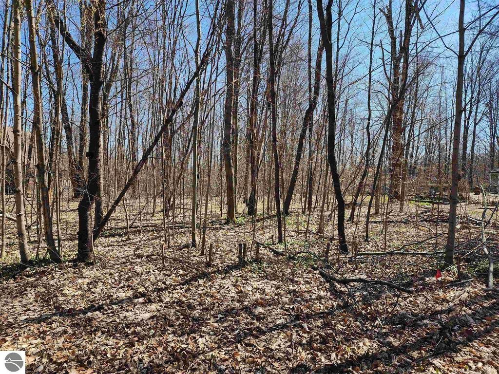 Image 3 of property listing at VL Cliffmont Drive, Mancelona, MI 49659