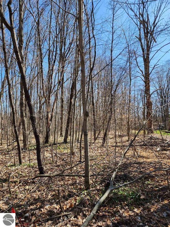 Image 4 of property listing at VL Cliffmont Drive, Mancelona, MI 49659
