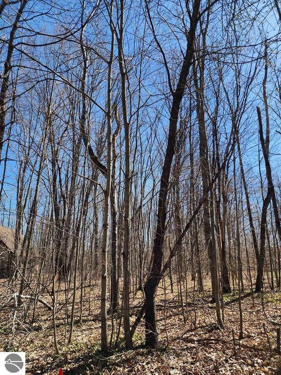 Image 6 of property listing at VL Cliffmont Drive, Mancelona, MI 49659