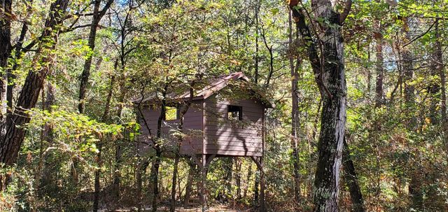 0 Cougar Court, Huntsville, TX 77340