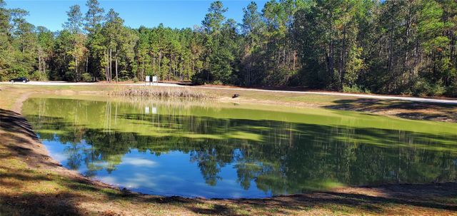 0 Cougar Court, Huntsville, TX 77340