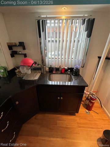 24738 Cashmere Court 120, Southfield, MI 48033