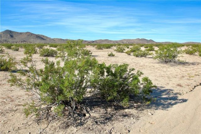 63305 Ranier, Joshua Tree, CA 92252