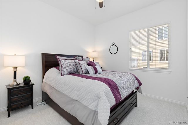 2056 Baguette Drive, Castle Rock, CO 80108