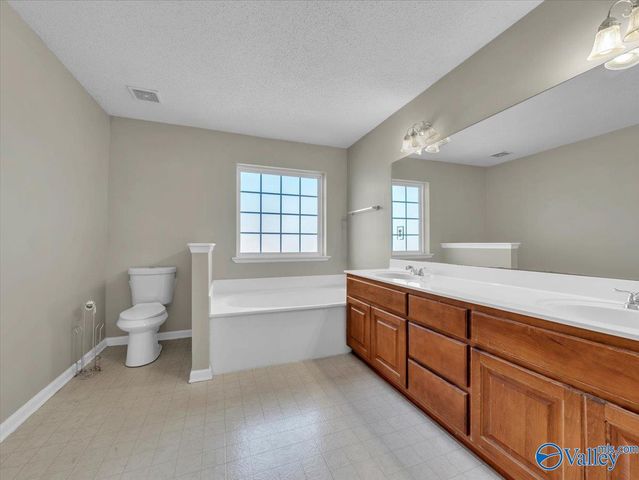 202 Bridgeway Circle, Madison, AL 35758