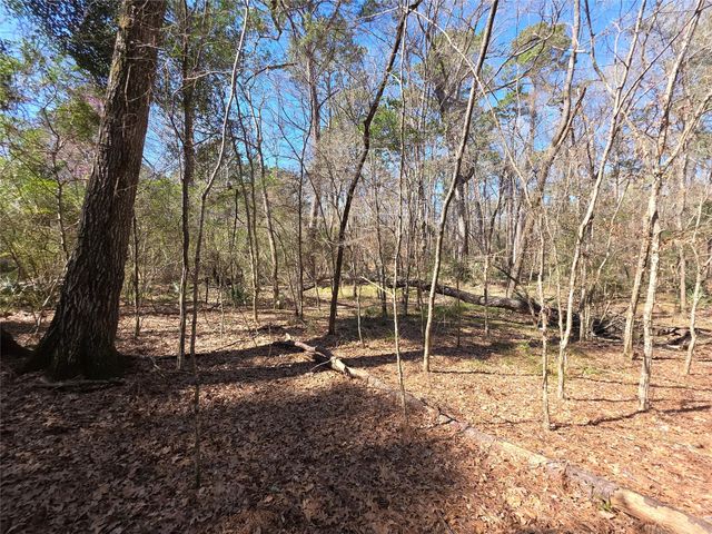 TBD Blanks Bend, Coldspring, TX 77331