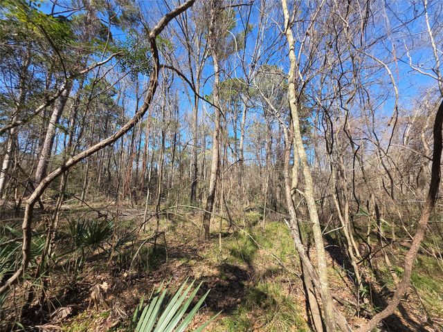 TBD Blanks Bend, Coldspring, TX 77331