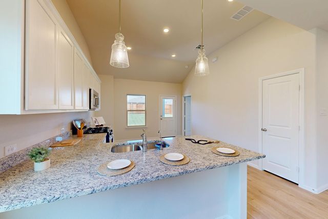 14159 Marion Downs Trail, Pilot Point, TX 76258