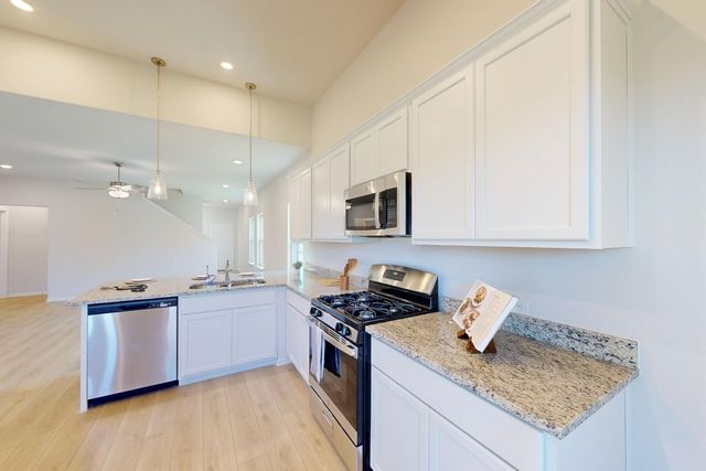 14159 Marion Downs Trail, Pilot Point, TX 76258