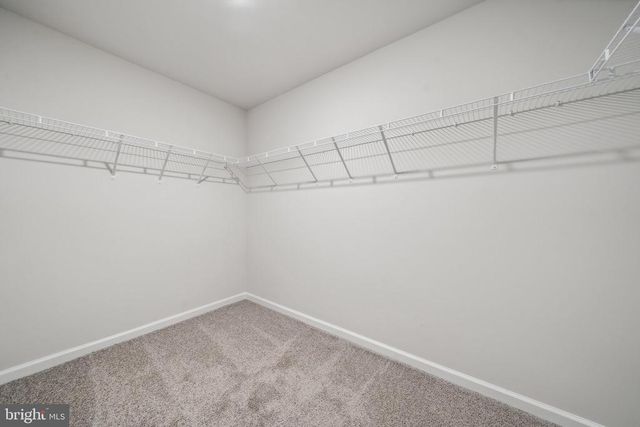 100 LIBERTY LN, Keswick, VA 22947